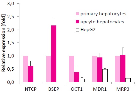 upcyte Hepatocyteの特長1