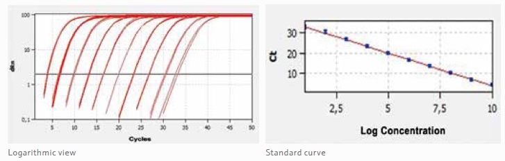 ダイナミックレンジ増幅曲線とスタンダード曲線図