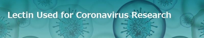 Lectin used for Coronavirus Research