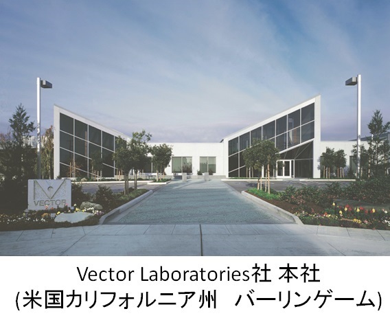 Vector Laboratoriess社 本社