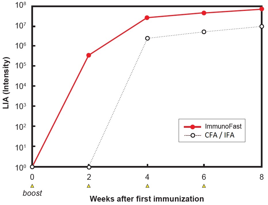 ImmunoFast Adjuvantの使用例2