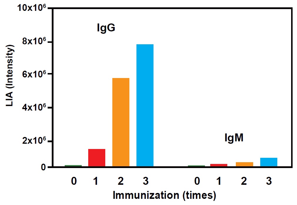 ImmunoFast Adjuvantの使用例3