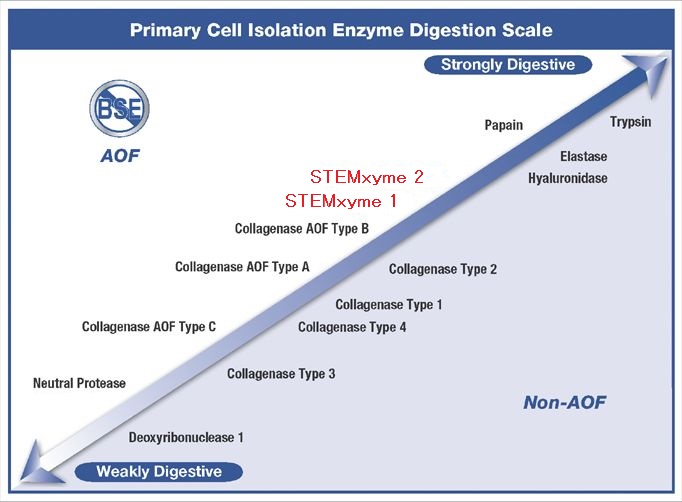 幹細胞の分離に最適なコラゲナーゼとプロテアーゼミックス STEMzyme