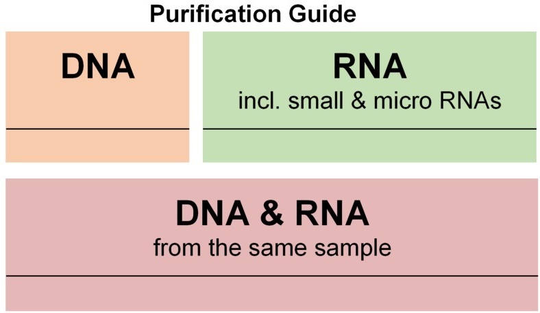 Quick-DNA/RNA Blood Tube Kitイメージ