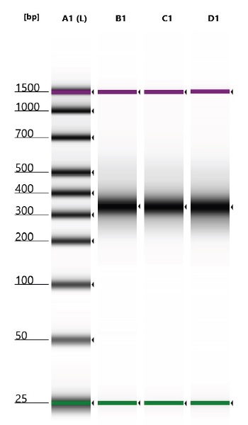 さまざまなドナー由来のcfDNAからのライブラリー調製