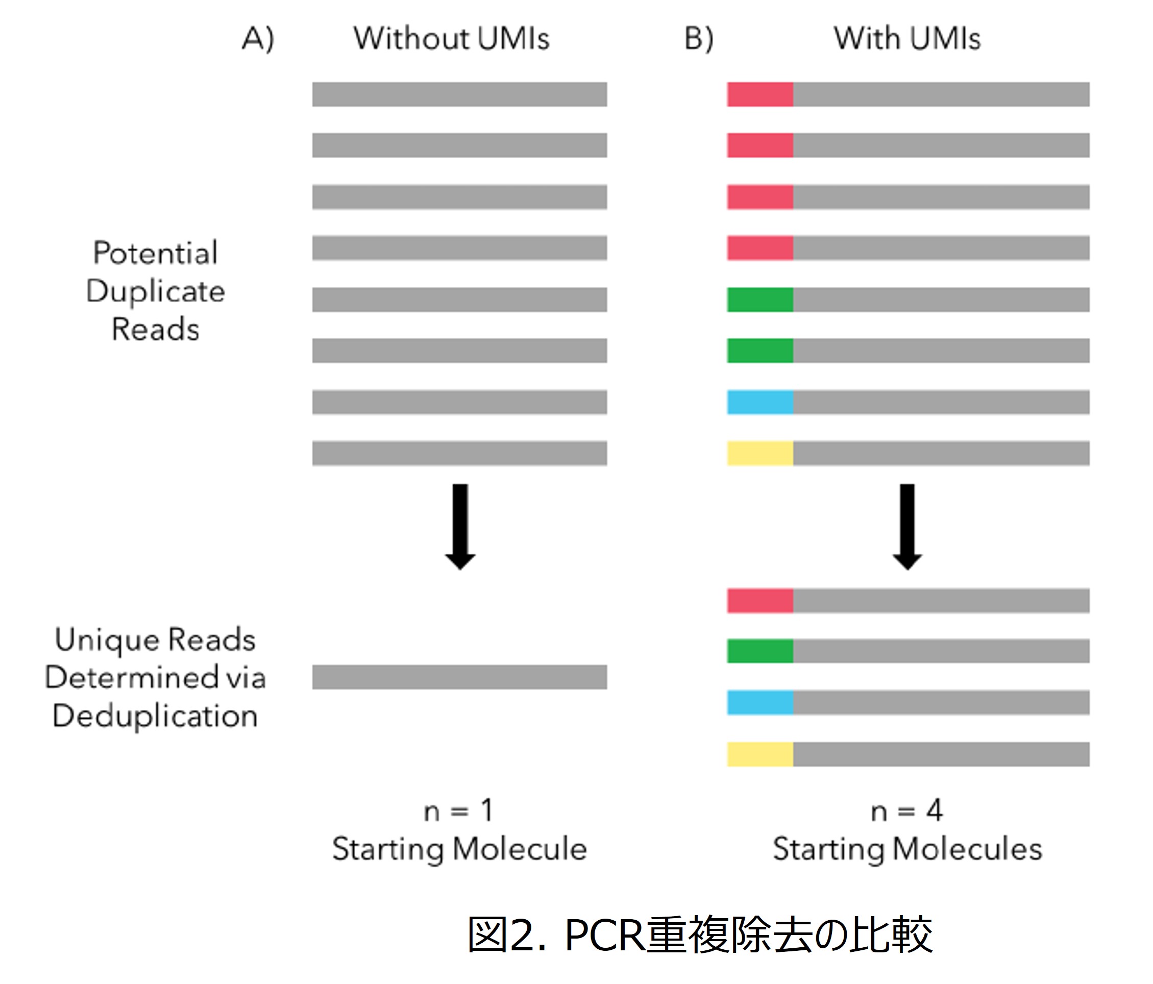PCR重複除去の比較