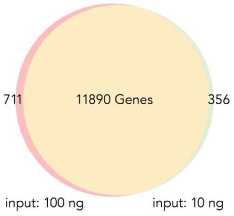 タンパク質コード遺伝子の重ね合わせ図