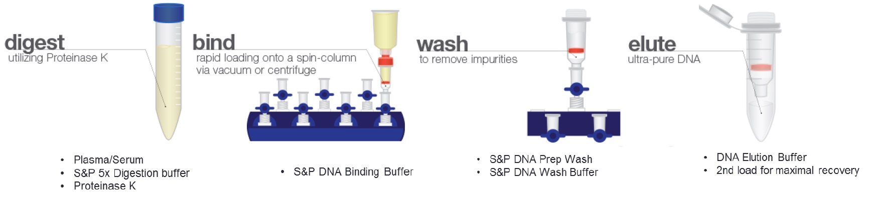 Quick-cfDNA Serum & Plasma Kitの使用例2