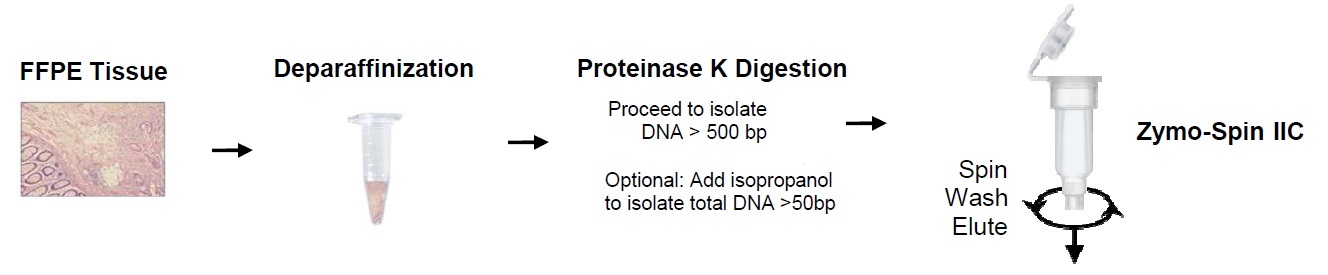 Quick-DNA FFPE Kitの操作方法概要