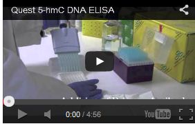 ゲノムDNA中の5-hmCを定量できるキット Quest 5-hmC DNA ELISA Kit