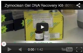 Zymoclean Gel DNA Recovery Kit