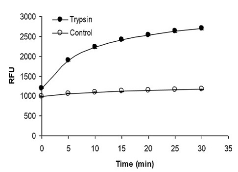 HiLyte Fluor 488を用いたトリプシンの活性測定