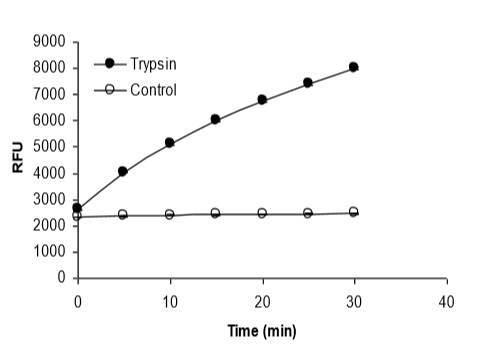 TAMRAを用いたトリプシンの活性測定