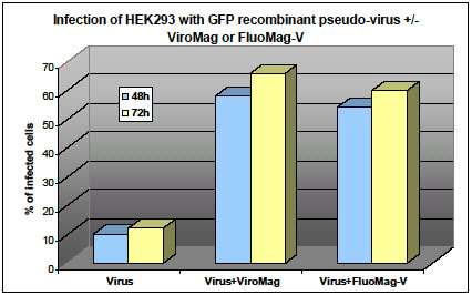 ViroMagでpseudovirus（GFP） の発現を解析
