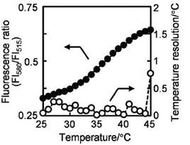 Fluorescence response (closed, left axis) and temperature resolution (open, right axis) in MOLT-4 cells.