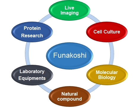 Export about us category